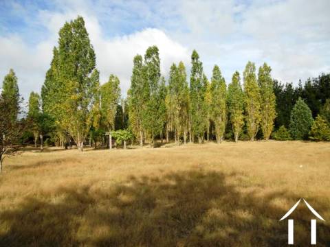 The parkland-style grounds have their own maze, arboretum and many other features including a vast range of established fruit, conifers and deciduous trees.