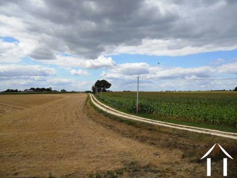 This is the track approach to the property. It extends from a quiet country lane (the large tree on the horizon marks the start of the driveway). 