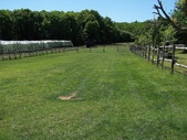 A view of one of the pastures with the forests beyond.
