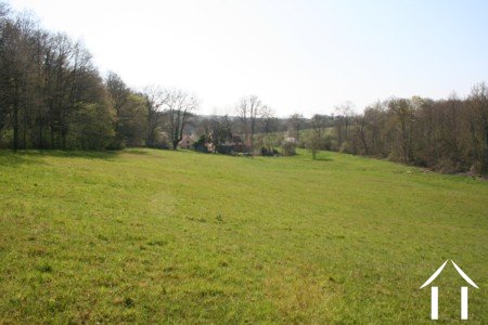 Fields
