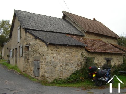 back view