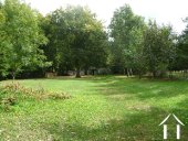 Wooded Garden