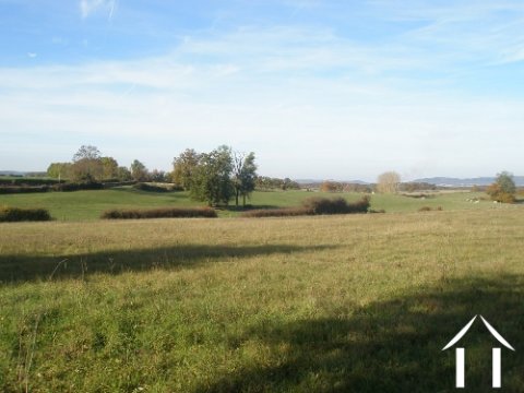 Open views