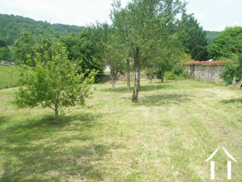 Orchard