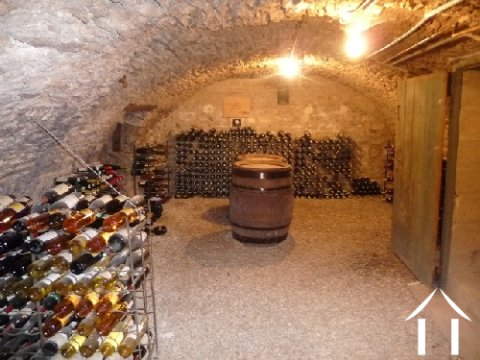 Beautiful vaulted cellar