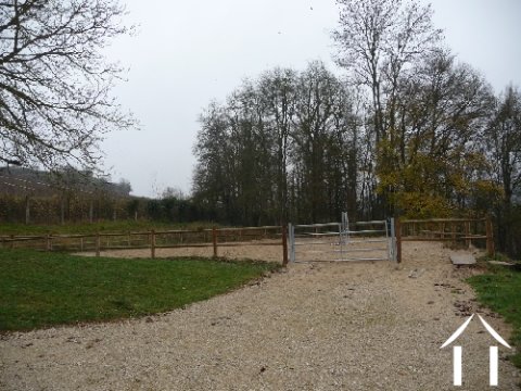 Horse Training / Exercise Area