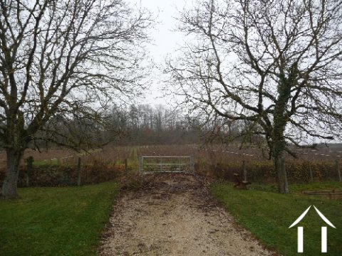 Situated next to the vines