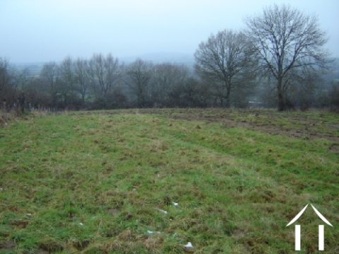 back field