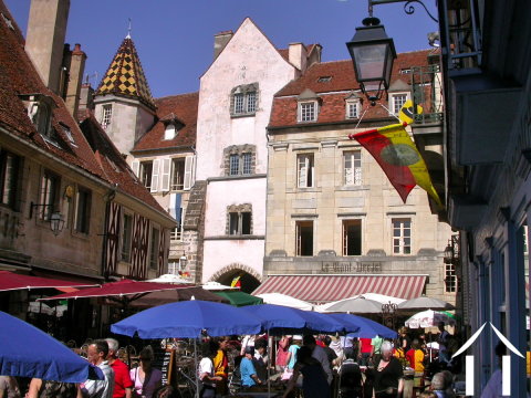 Medieval House & Tower  