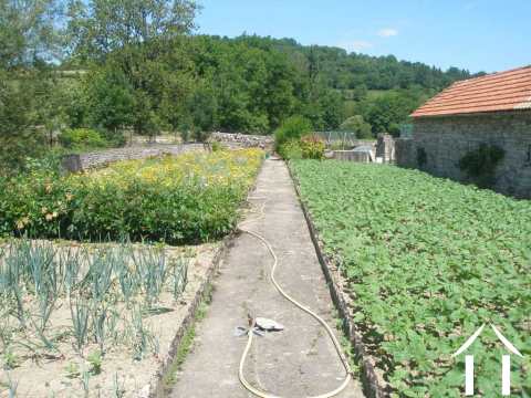 Vegetable gardens