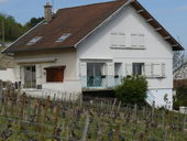 House in the heart of the vineyards