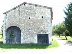 Picture 8
