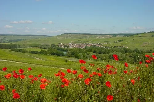Chatillonnais