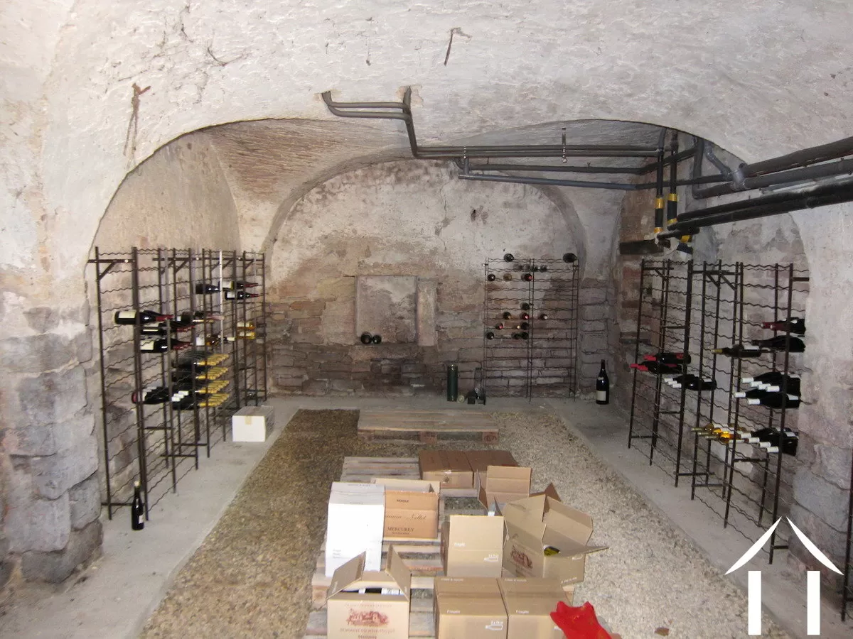 Castle, estate for sale mercurey, burgundy, MB1162S Image - 8