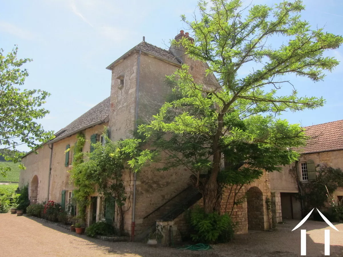 Castle, estate for sale mercurey, burgundy, MB1162S Image - 17