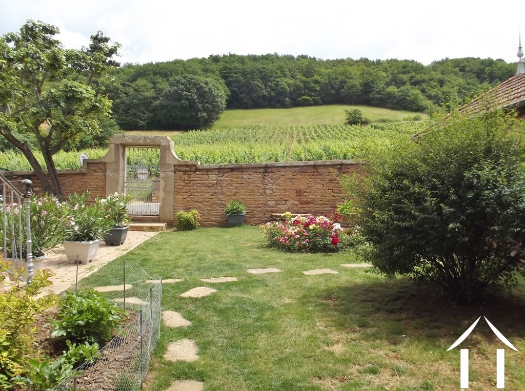 front garden with vineyards across the road
