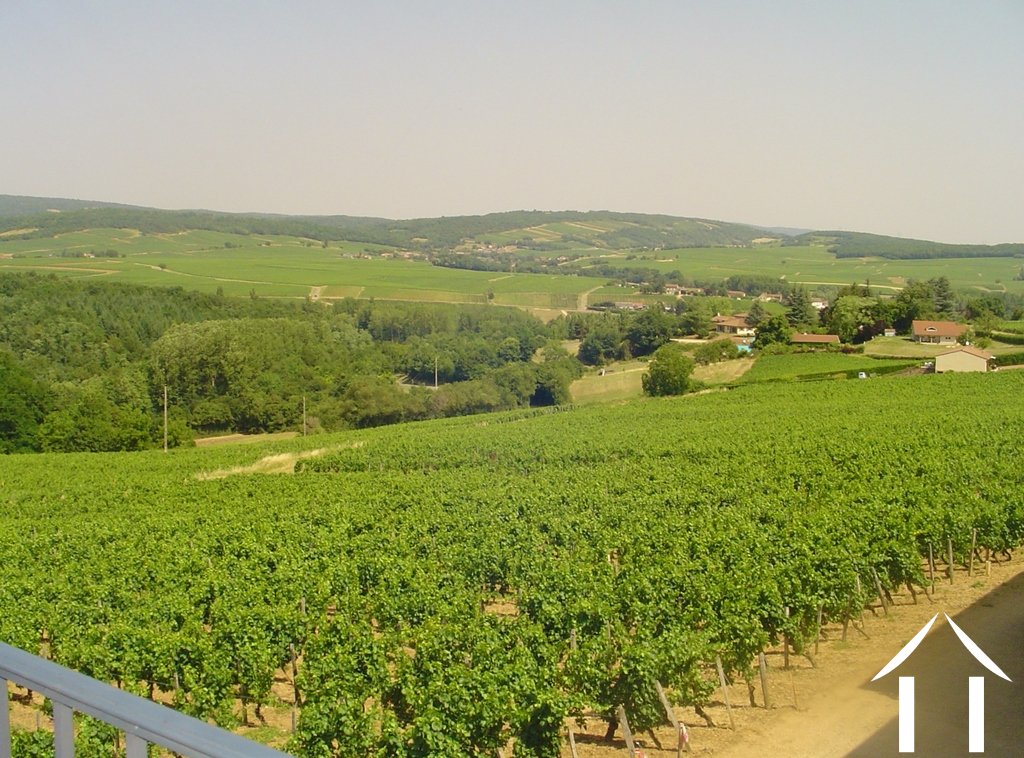 views west over neighbouring vineyards