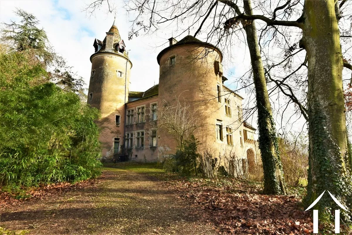 Castle, estate for sale st gengoux le national, burgundy, JP4644S Image - 8