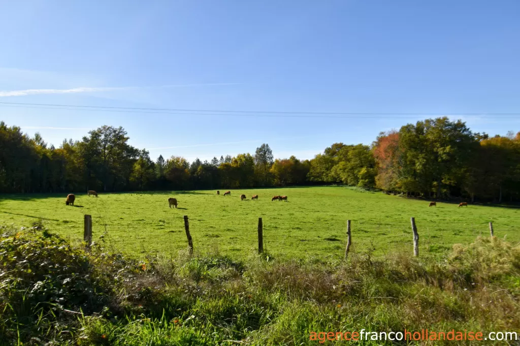 House for sale st julien le vendomois, limousin, Li1003 Image - 64