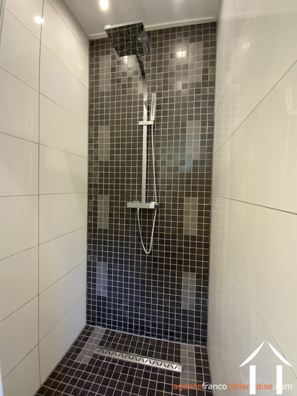 House for sale anlhiac, aquitaine, Li1015 Image - 11