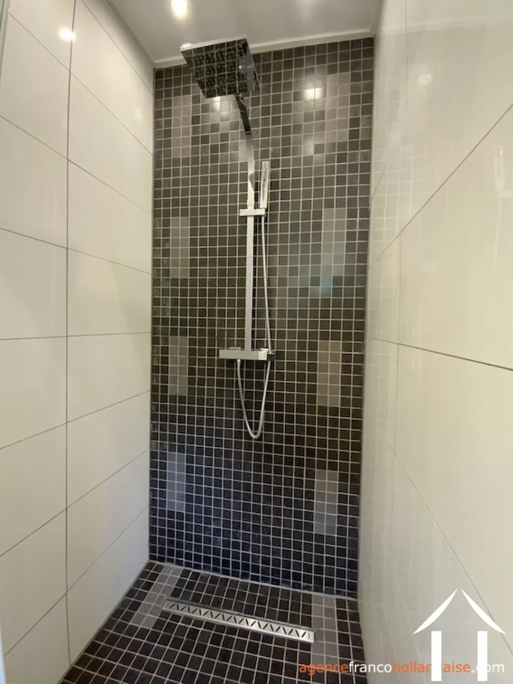 House for sale anlhiac, aquitaine, Li1015 Image - 11