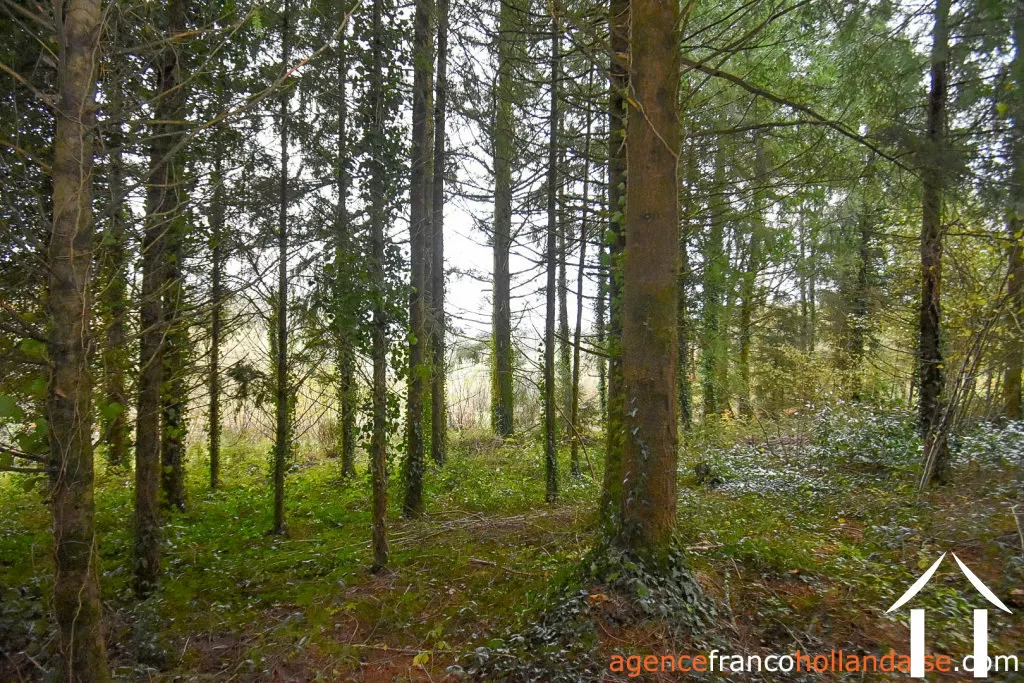 House for sale st amand jartoudeix, limousin, Li1024 Image - 40