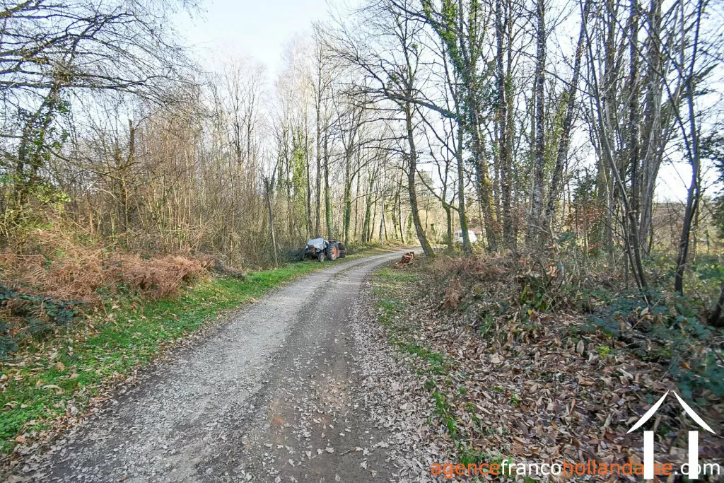 House with guest house for sale chateauneuf la foret, limousin, Li1025 Image - 70