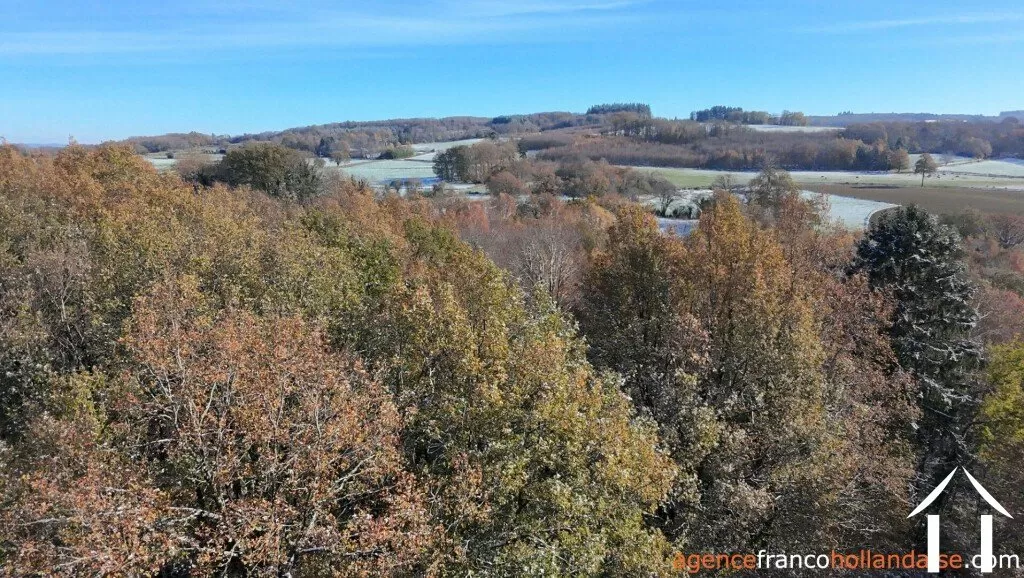 House with guest house for sale chateauneuf la foret, limousin, Li1025 Image - 44