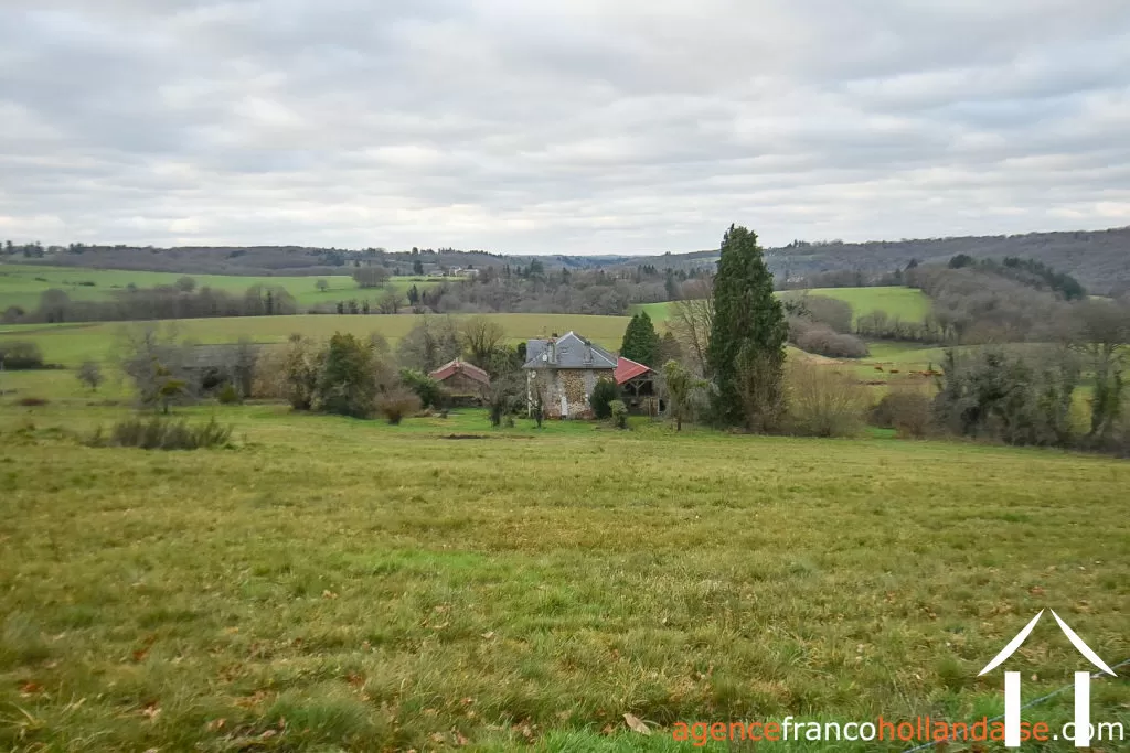 House with guest house for sale neuvic entier, limousin, Li1027 Image - 44