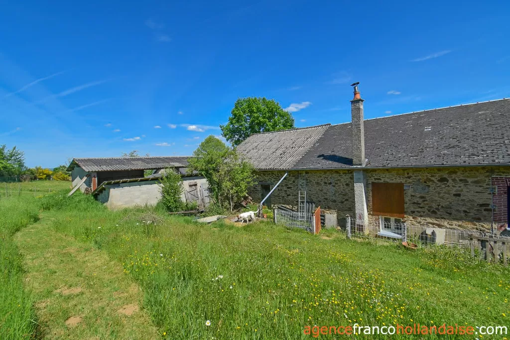 Property 1 hectare ++ for sale chateauneuf la foret, limousin, Li1062 Image - 45