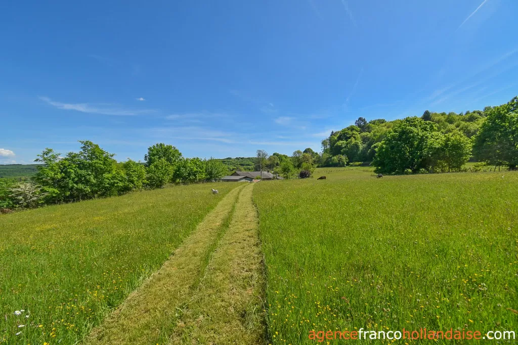 Property 1 hectare ++ for sale chateauneuf la foret, limousin, Li1062 Image - 57