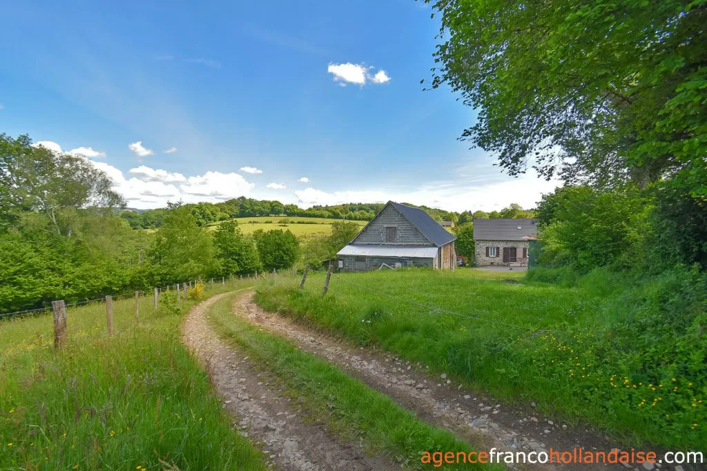 House for sale st vitte sur briance, limousin, Li1065 Image - 30