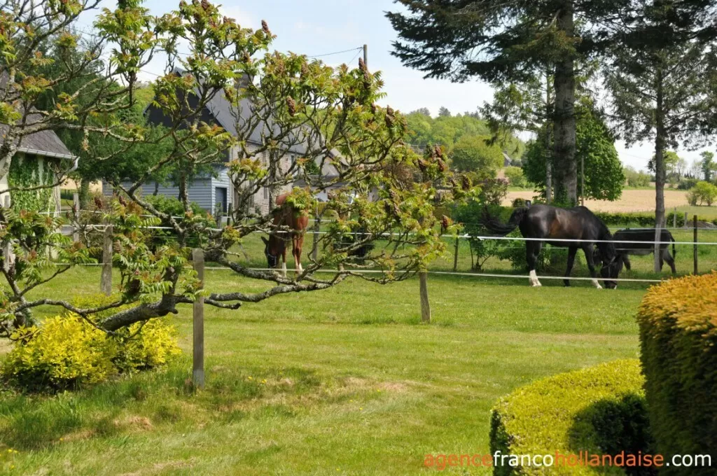 House for sale landelles et coupigny, basse-normandie, Li1066 Image - 26