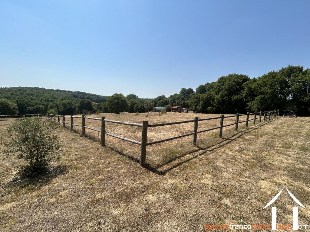 House with guest house for sale brouchaud, aquitaine, Li1068 Image - 42