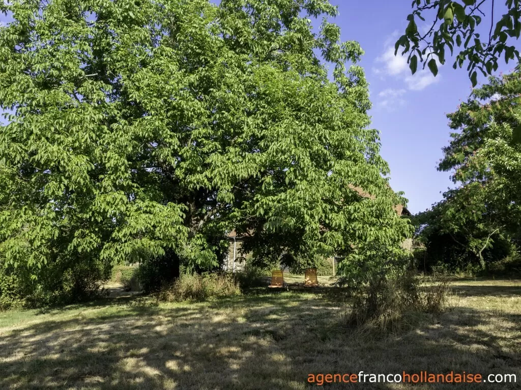House with guest house for sale lubersac, limousin, Li1070 Image - 38