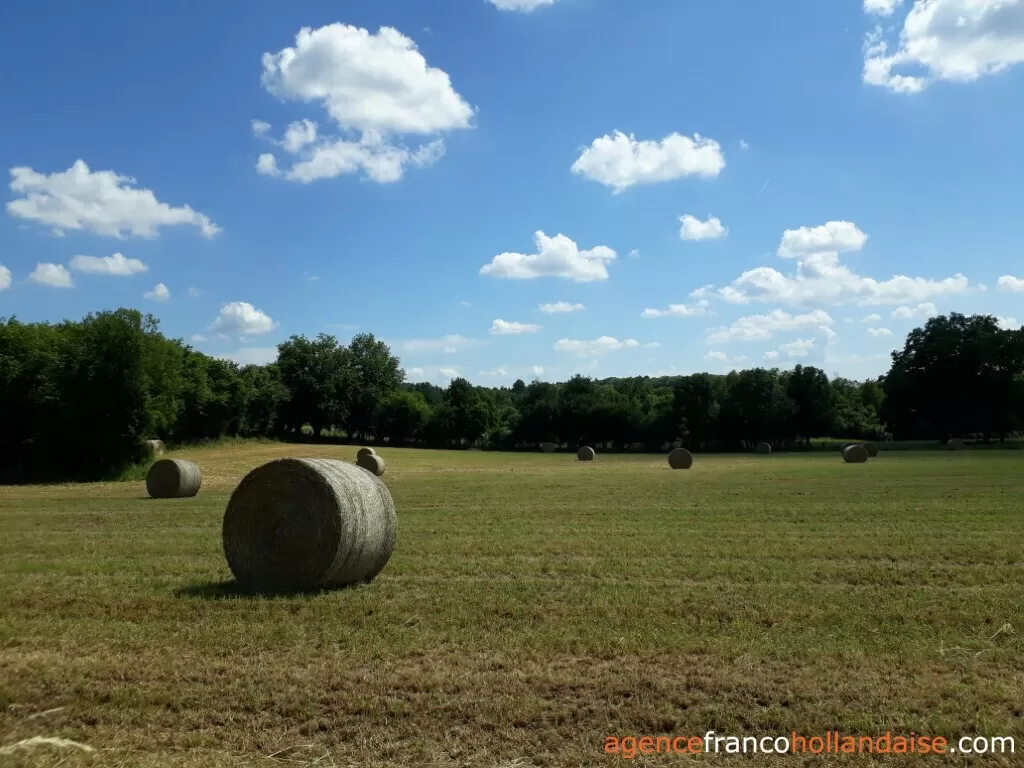 House with guest house for sale lubersac, limousin, Li1070 Image - 39