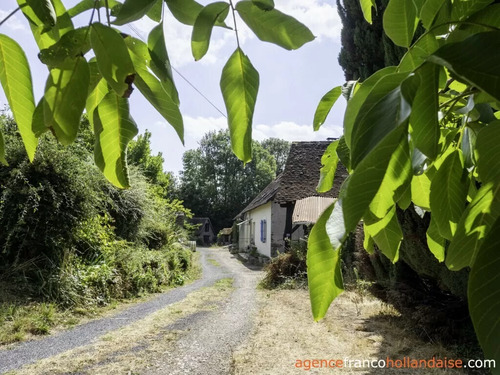 House with guest house for sale lubersac, limousin, Li1070 Image - 2