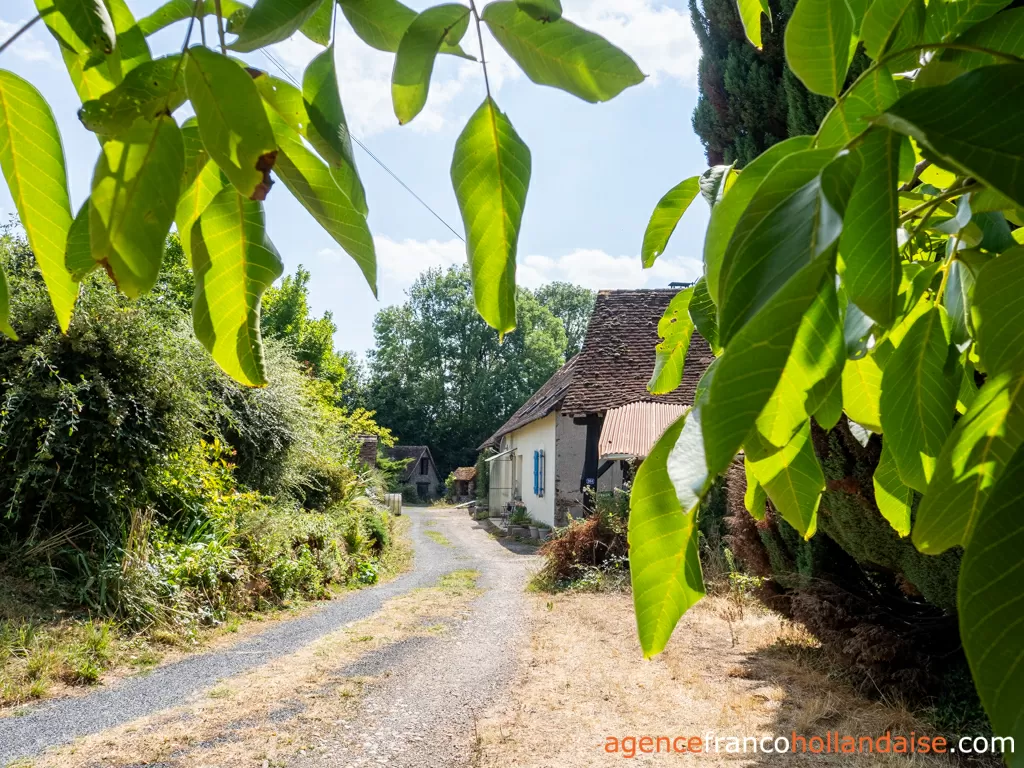 House with guest house for sale lubersac, limousin, Li1070 Image - 3