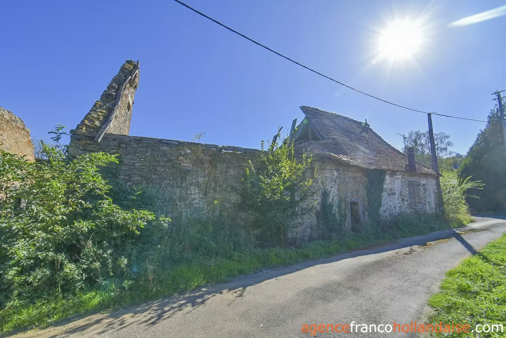 House with guest house for sale st germain les belles, limousin, Li1075 Image - 41
