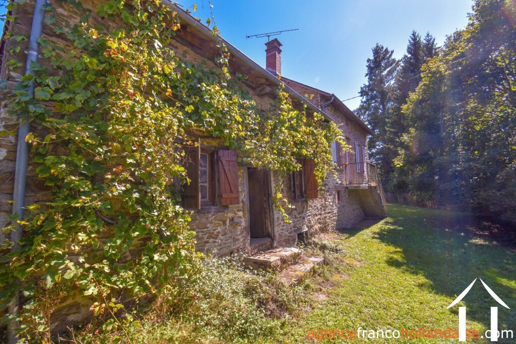 House with guest house for sale neuvic entier, limousin, Li849 Image - 43