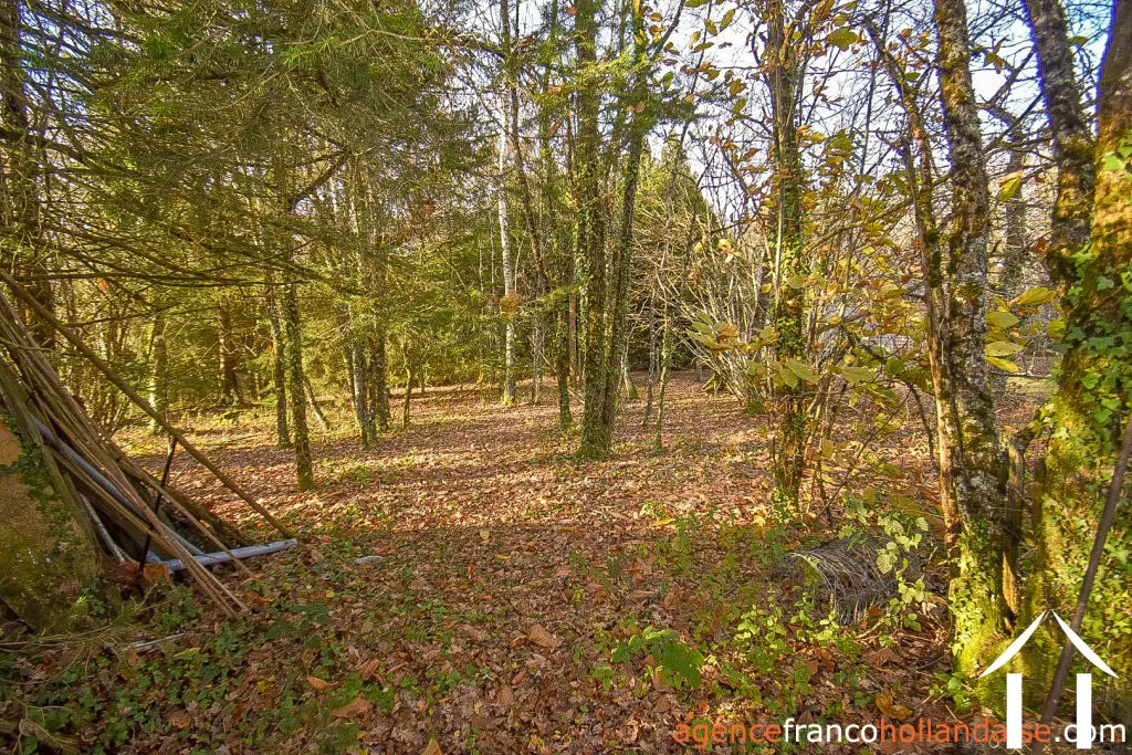 Village house for sale linards, limousin, Li856 Image - 75