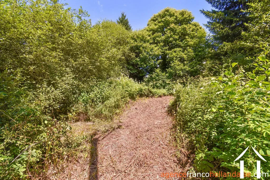 House for sale nedde, limousin, Li913 Image - 39