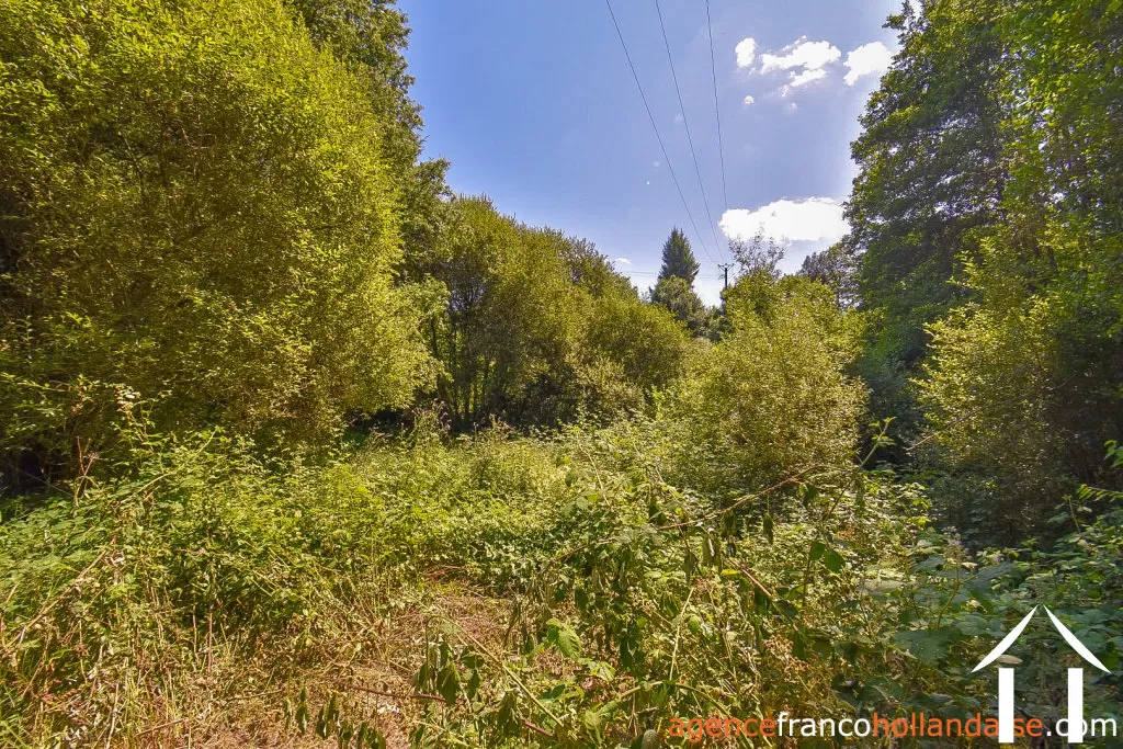 House for sale nedde, limousin, Li913 Image - 40