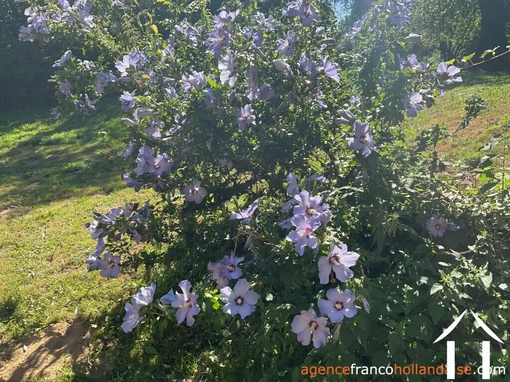 House for sale beyssenac, limousin, Li929 Image - 63