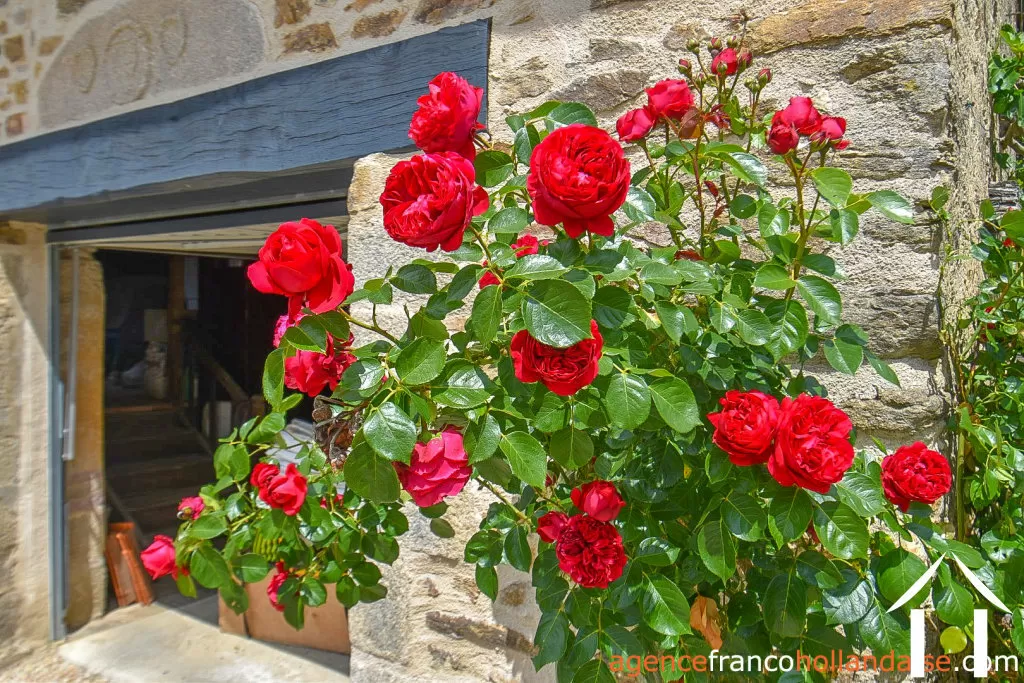 House for sale chateauneuf la foret, limousin, Li990 Image - 38