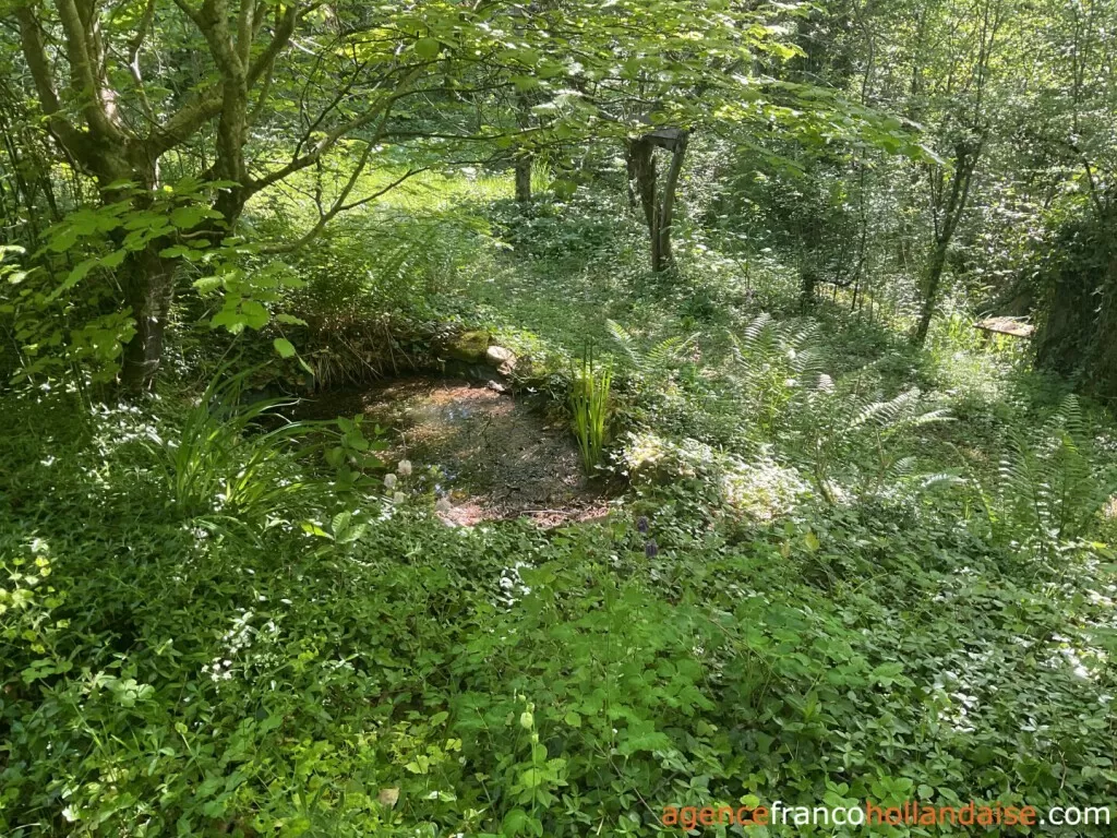 House for sale st pardoux corbier, limousin, Li993 Image - 25