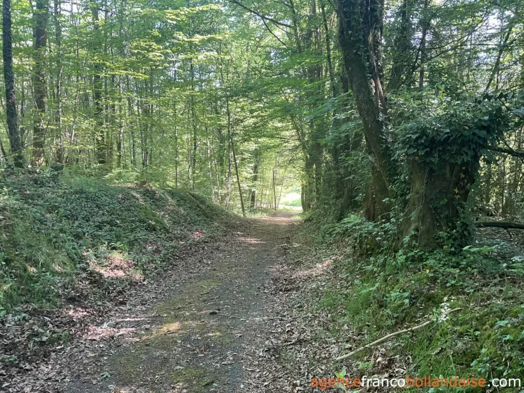 House for sale st pardoux corbier, limousin, Li993 Image - 30