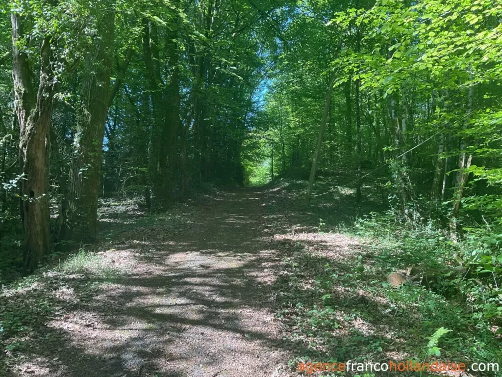 House for sale st pardoux corbier, limousin, Li993 Image - 29