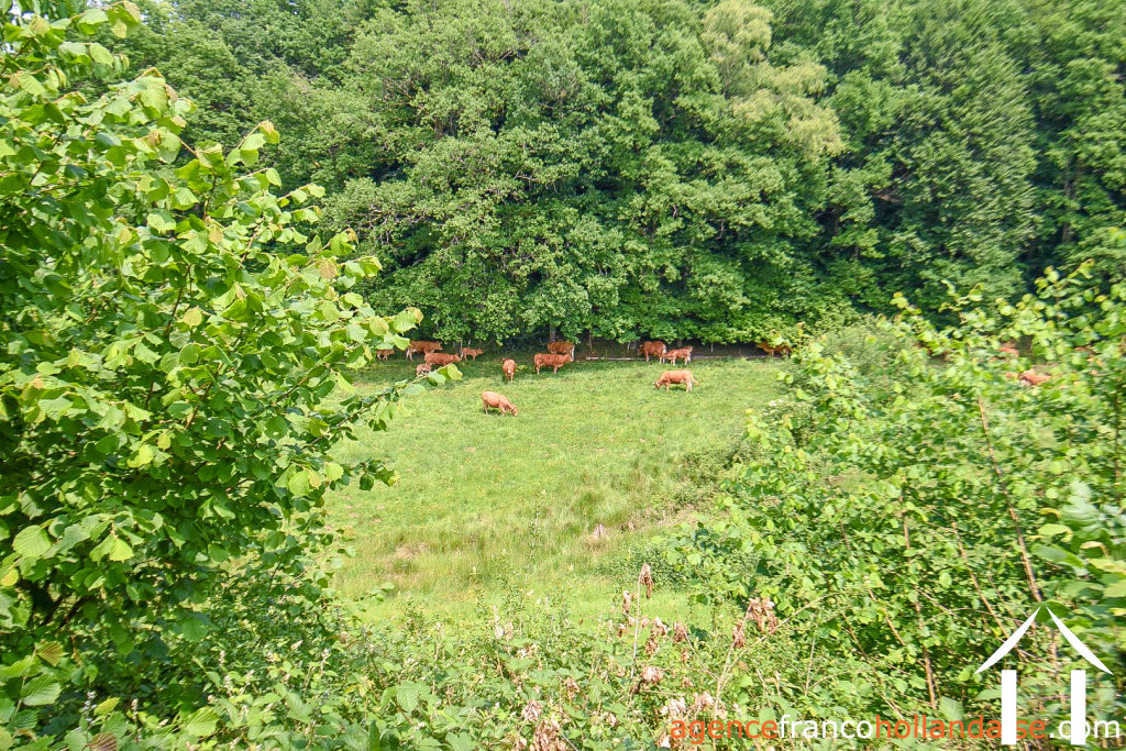 House for sale rempnat, limousin, Li996 Image - 43