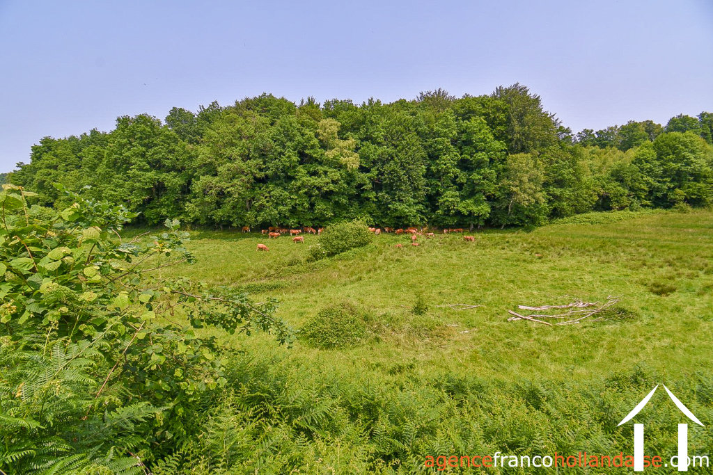 House for sale rempnat, limousin, Li996 Image - 44